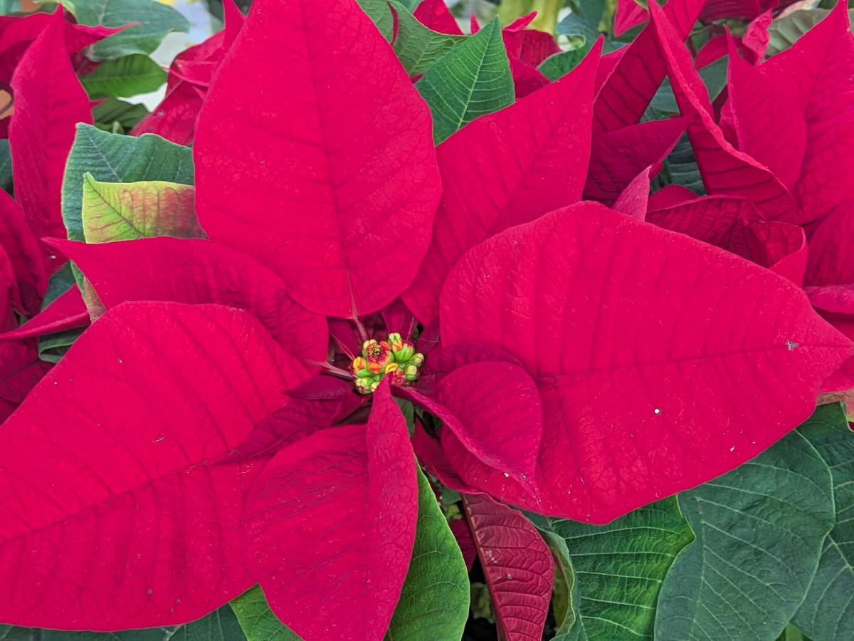 介護職員初任者研修科 修了式のご報告